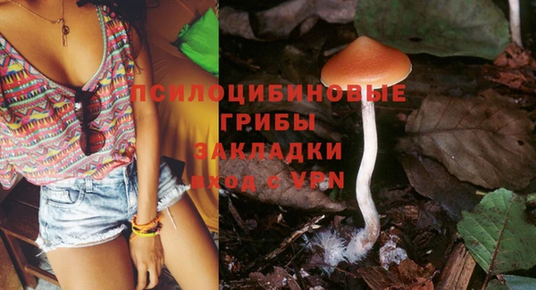 Альфа ПВП Тайга