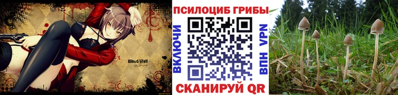 Галлюциногенные грибы мухоморы продажа наркотиков Снежинск